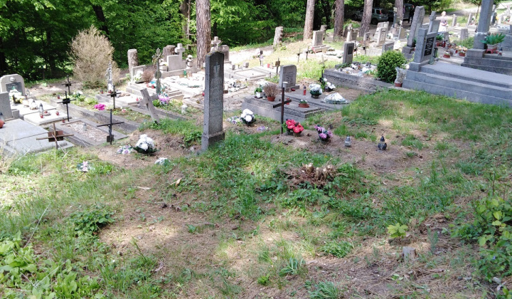 Brigáda na Lucia Bani - cintorín 27. 05. 2020